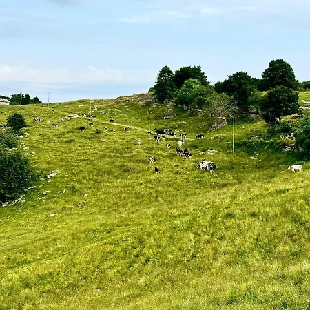 Agriturismo Malga Rambalda Фермерский дом *